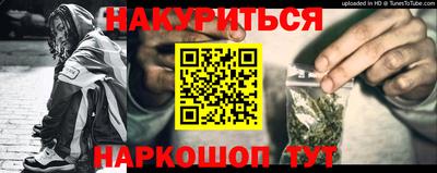 ПСИЛОЦИБИНОВЫЕ ГРИБЫ Кингисепп