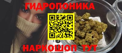 мяу мяу мука Кинель